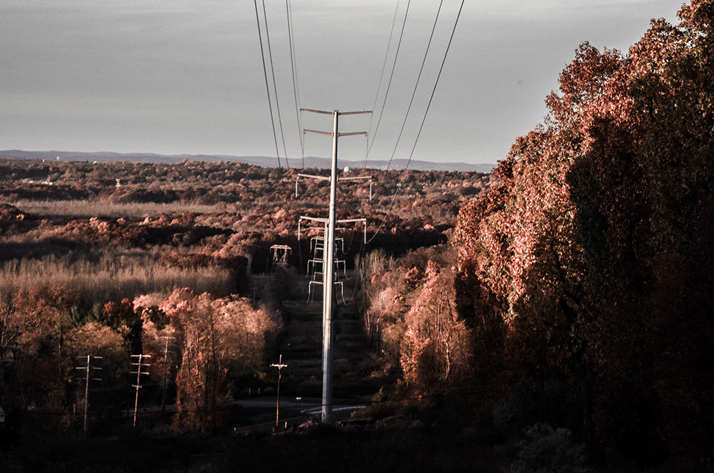 Transmission Line Monopoles